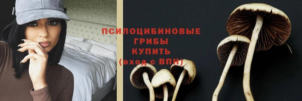 герыч Арсеньев