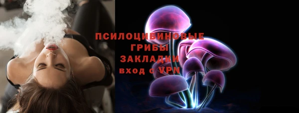 герыч Арсеньев