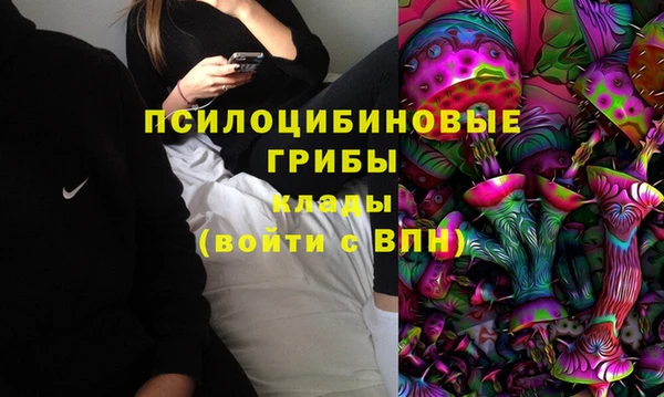 ГАЛЛЮЦИНОГЕННЫЕ ГРИБЫ Аркадак