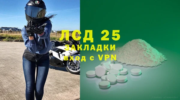 ГАЛЛЮЦИНОГЕННЫЕ ГРИБЫ Аркадак