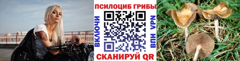 наркошоп Макушино Псилоцибиновые грибы ЛСД